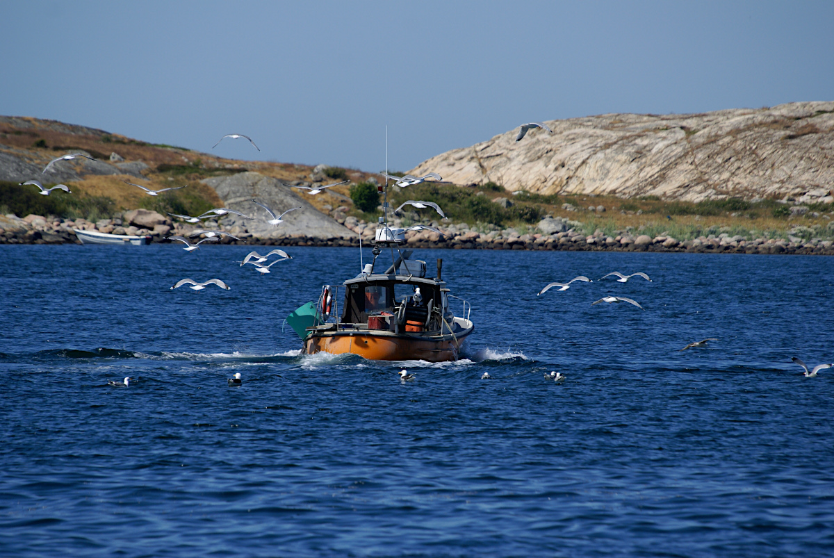 Skaftö