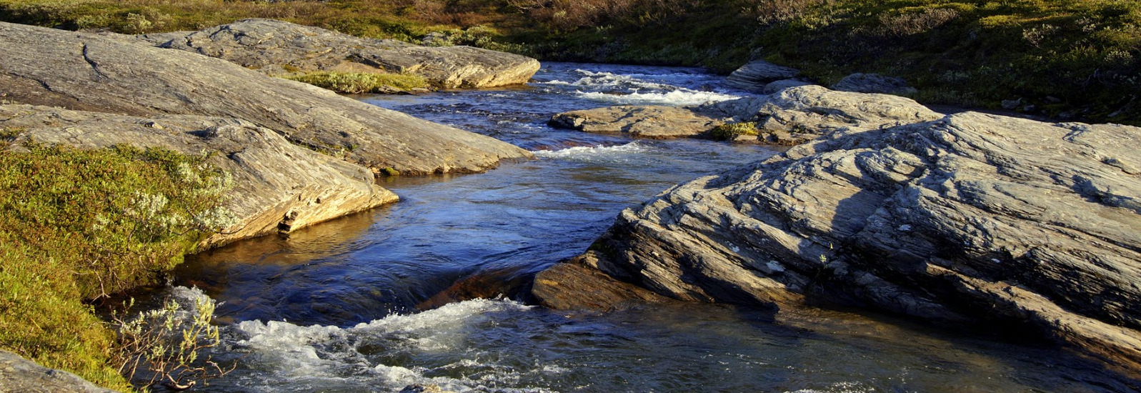 The Fjllen, Sweden