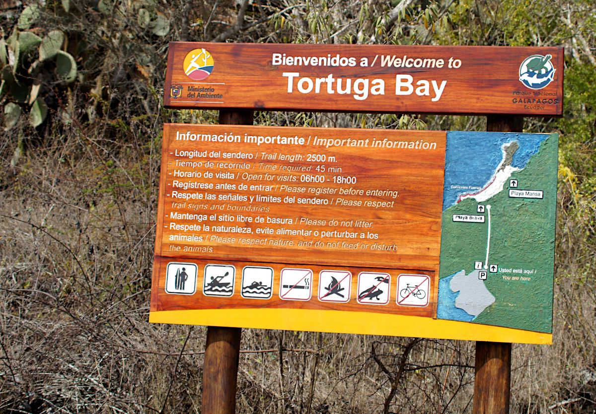 Tortuga Bay