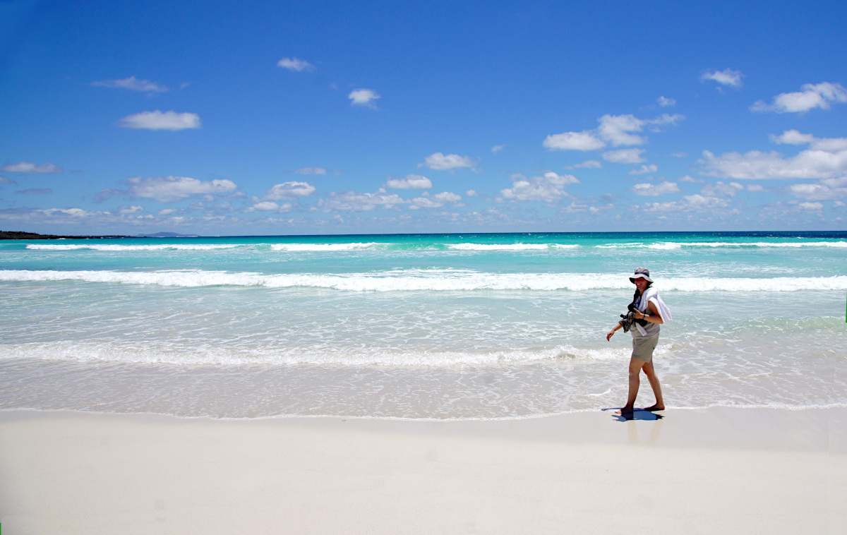 Tortuga Bay