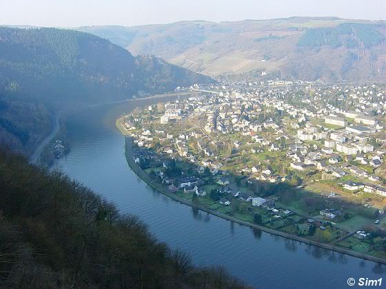 Early morning in the Mosel-Valley